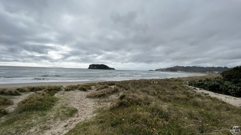 Tag_12-21_12_2022-Whakatane-0010.jpg