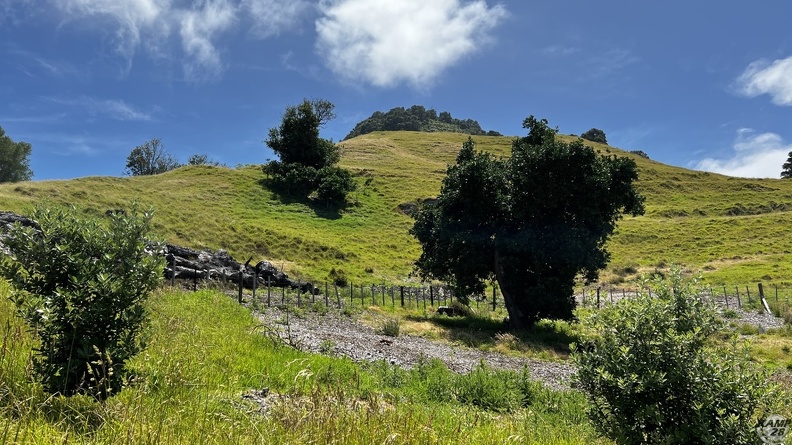 Tag_12-21_12_2022-Whakatane-0270.jpg