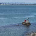 Tag 12-21 12 2022-Whakatane-0280