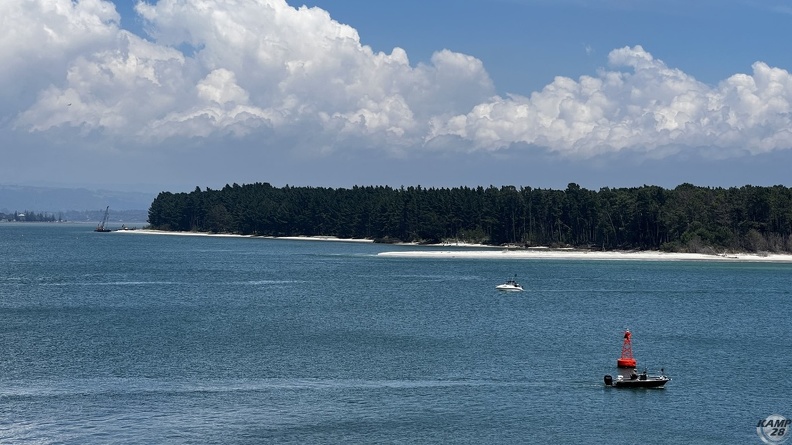 Tag_12-21_12_2022-Whakatane-0310.jpg
