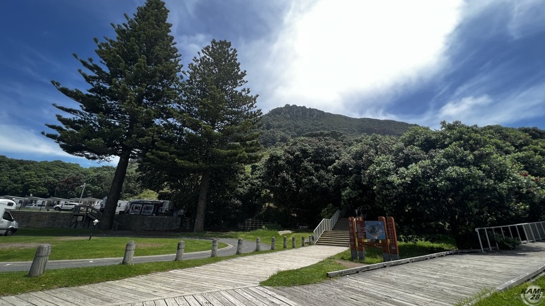 Tag_12-21_12_2022-Whakatane-0460.jpg