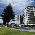 Tag 12-21 12 2022-Whakatane-0470