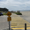 Tag 12-21 12 2022-Whakatane-0480