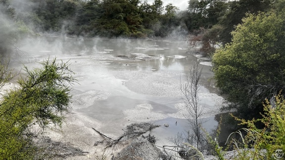Tag 14-23 12 2022-Whanganui River-0070