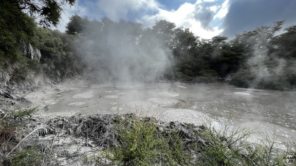Tag 14-23 12 2022-Whanganui River-0080