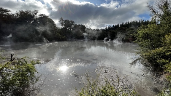 Tag 14-23 12 2022-Whanganui River-0090
