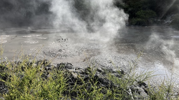 Tag 14-23 12 2022-Whanganui River-0100