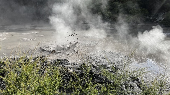Tag 14-23 12 2022-Whanganui River-0110