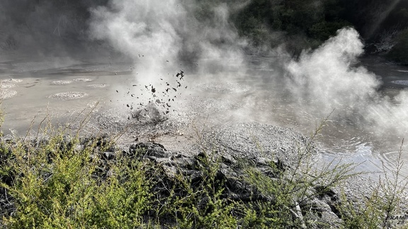 Tag 14-23 12 2022-Whanganui River-0120