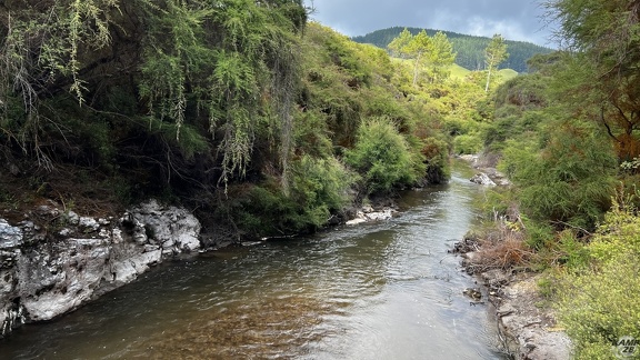 Tag 14-23 12 2022-Whanganui River-0150