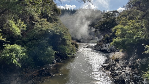 Tag 14-23 12 2022-Whanganui River-0160