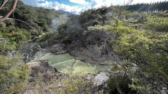 Tag 14-23 12 2022-Whanganui River-0180