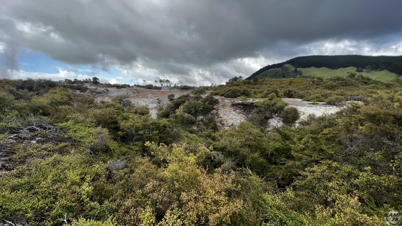 Tag 14-23 12 2022-Whanganui River-0220