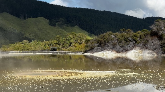 Tag 14-23 12 2022-Whanganui River-0330
