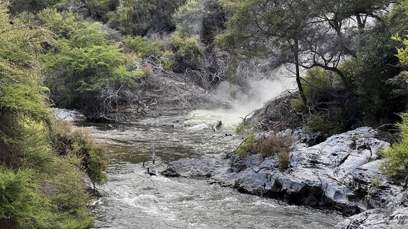 Tag 14-23 12 2022-Whanganui River-0490