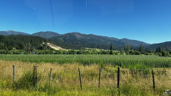 Tag 20-29 12 2022-Punakaiki-0020