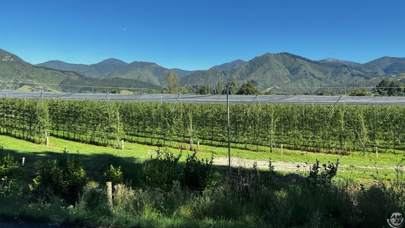 Tag 20-29 12 2022-Punakaiki-0040