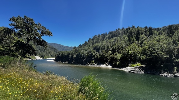 Tag 20-29 12 2022-Punakaiki-0220