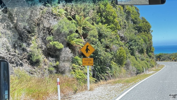 Tag 20-29 12 2022-Punakaiki-0230