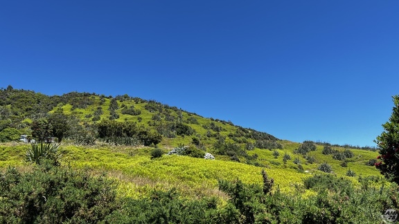 Tag 20-29 12 2022-Punakaiki-0270