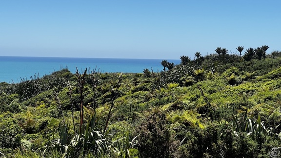 Tag 20-29 12 2022-Punakaiki-0280