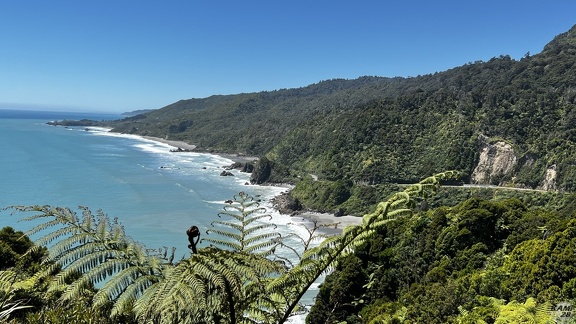 Tag 20-29 12 2022-Punakaiki-0310