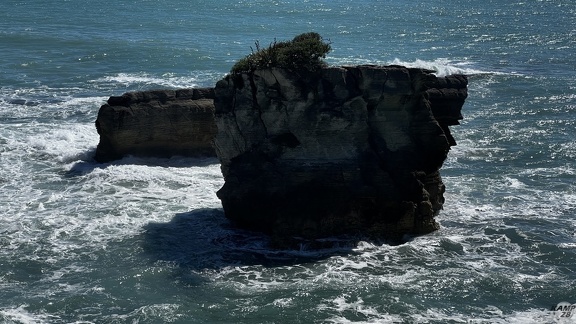 Tag 20-29 12 2022-Punakaiki-0330