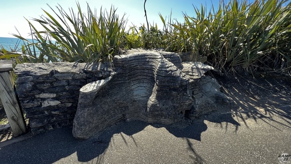 Tag 20-29 12 2022-Punakaiki-0380