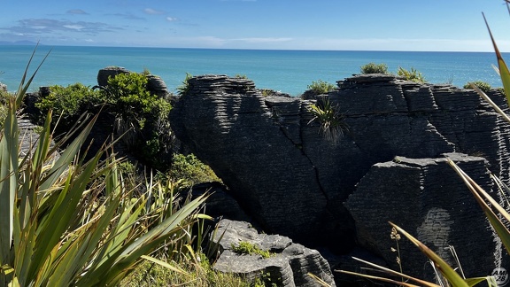 Tag 20-29 12 2022-Punakaiki-0390