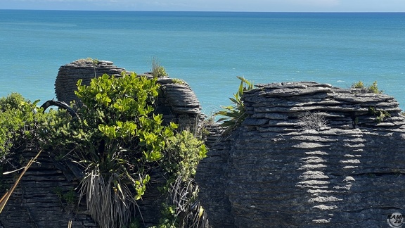 Tag 20-29 12 2022-Punakaiki-0410