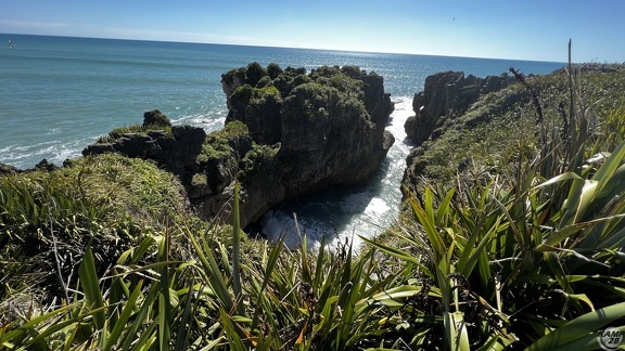 Tag 20-29 12 2022-Punakaiki-0440