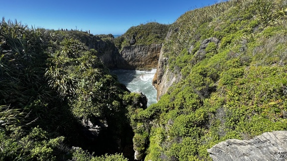 Tag 20-29 12 2022-Punakaiki-0480