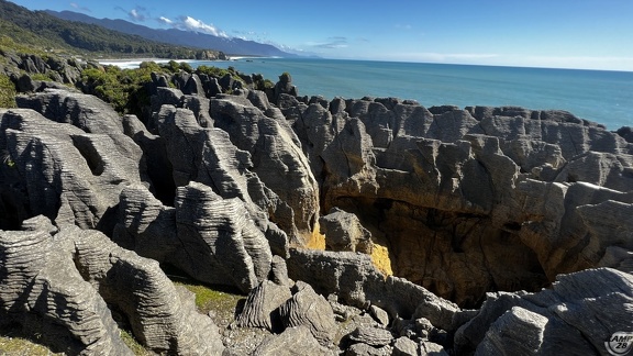 Tag 20-29 12 2022-Punakaiki-0510