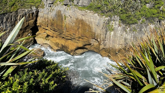 Tag 20-29 12 2022-Punakaiki-0560