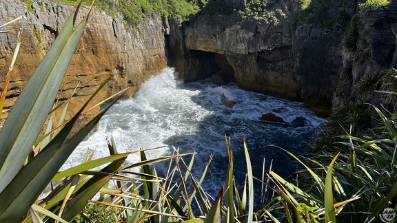 Tag 20-29 12 2022-Punakaiki-0600