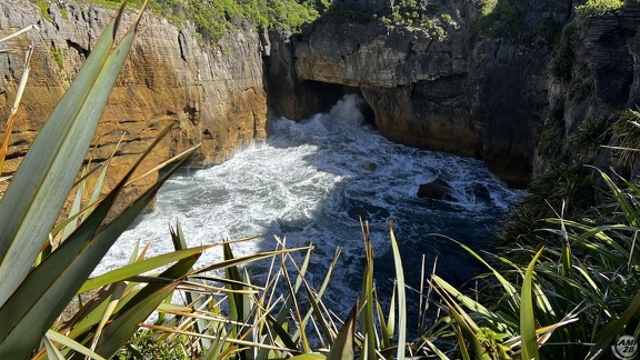 Tag 20-29 12 2022-Punakaiki-0610