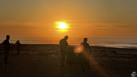 Tag 20-29 12 2022-Punakaiki-0780