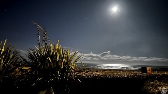 Tag 20-29 12 2022-Punakaiki-0830