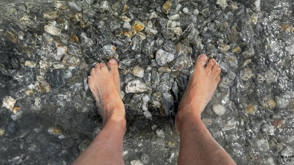 Tag 23-01 01 2023-Wanaka-0020